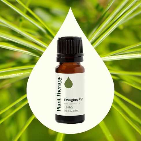 Plant Therapy Douglas Fir Essential Oil 10 mL (1/3 oz) 100% Pure, Therapeutic Grade, Undiluted in Kuwait