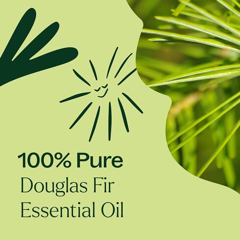 Plant Therapy Douglas Fir Essential Oil 10 mL (1/3 oz) 100% Pure, Therapeutic Grade, Undiluted in Kuwait