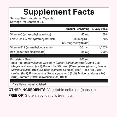 Micro Ingredients Iron Bisglycinate Supplement (Ferrous Bisglycinate) | 14-in-1 Chelated Iron Complex with Folate, Vitamins B12 & C, Botanical Blend | 240 Veggie Capsules | Non-GMO in Kuwait