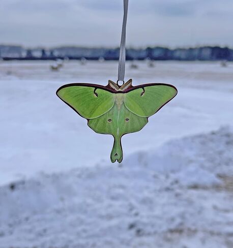 d’ears luna moth ornament, made in the U.S.A., family run small business, #8434, great gift for luna moth or moth lovers. in Saudi Arabia