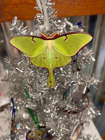 d’ears luna moth ornament, made in the U.S.A., family run small business, #8434, great gift for luna moth or moth lovers. in Saudi Arabia