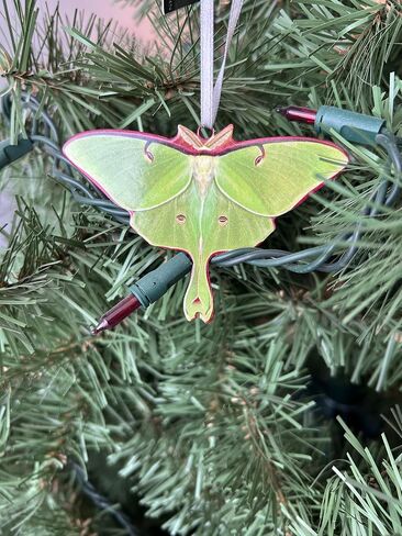 d’ears luna moth ornament, made in the U.S.A., family run small business, #8434, great gift for luna moth or moth lovers. in Saudi Arabia
