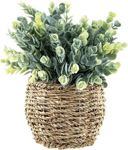نبات منضدية من خشب البقس والأوكالبتوس الاصطناعي من MyGift في زارع الروطان المنسوج الريفي لديكور المنزل أو المكتب in Kuwait