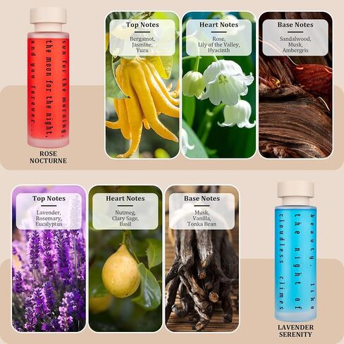 Ikeda Luxury Gift Set of 4 Reed Diffusers with Preserved Eucalyptus - Home Fragrance Oils for Bedroom, Bathroom, Office & Living Room - Scents for Relaxation, Focus & Mood (5.07 fl.oz Each) in Saudi Arabia
