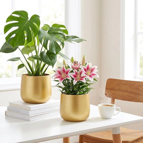 6.3'' Metal Gold Plant Pots Set of 2, Round Decorative Tabletop Planters with Drainage Hole & Waterproof Liner, Indoor Vase for Succulent, Snake Plant, Cactus & Small Houseplants in Saudi Arabia