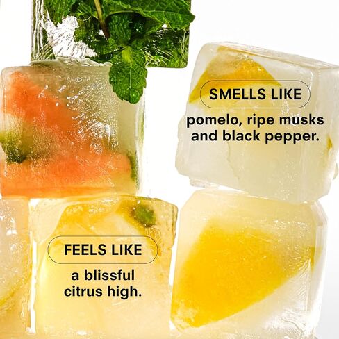 Boy Smells Citrush Candle – Bright Citrus Aroma – Warm Musk Finish – Pomelo Oil – Clean Burning Scented Candle – Long-Lasting Fragrance Throw – Vegan Soy Wax Blend – 8.5oz Glass Jar in Saudi Arabia