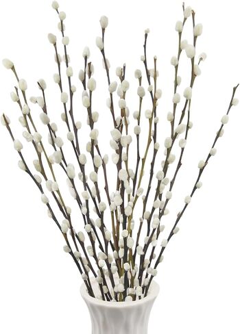 20 Pcs Natural Preserved Dried Flowers Real Pussy Willow Branches for Vases Tall Artificial Pussywillow Stems 19.7" White Snow Pussywillows for Home Decor Indoor Wedding Party Hotel Fireplace in Saudi Arabia