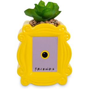 BoxLunch Friends Peephole Frame Faux Succulent Planter in Saudi Arabia