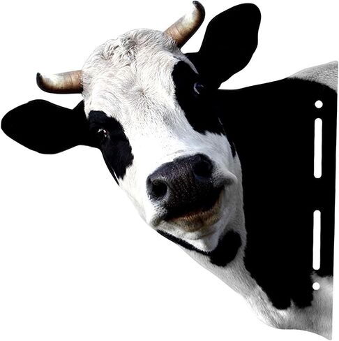 Qianly Metal Cow Head Wall Sculpture, Iron Rustic Animal Head Wall Mount Decor for Home Office Hotel Dining Room in Saudi Arabia