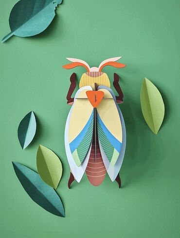 STUDIO ROOF, Wall Art Beetles, Lunar Jewel Beetle, Eco-Friendly & Creative Gift in Saudi Arabia