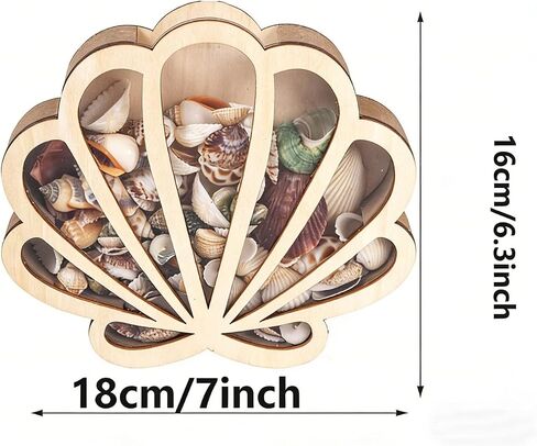 Seashell Display Box with Acrylic Panel, Seashell Holder Display Case for Small Shells, Wooden Shadow Box for Mini Starfish Storage Collection Case, Beach Home Decor Ocean Themed Gifts in Kuwait