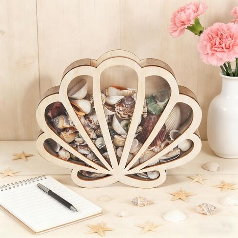 Seashell Display Box with Acrylic Panel, Seashell Holder Display Case for Small Shells, Wooden Shadow Box for Mini Starfish Storage Collection Case, Beach Home Decor Ocean Themed Gifts in Kuwait