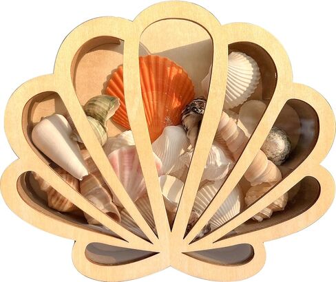 Seashell Display Case with Acrylic Panel, Seashell Holder Display Box, Wooden Shadow Box Sea Shell Shark Tooth Memory Keepsake Storage Collection Case, Coastal Room Decor Ocean Themed Gifts in Saudi Arabia