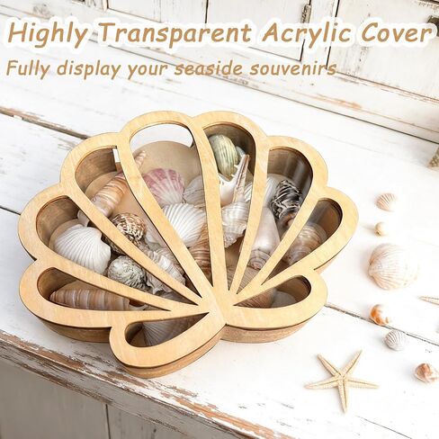 Seashell Display Case with Acrylic Panel, Seashell Holder Display Box, Wooden Shadow Box Sea Shell Shark Tooth Memory Keepsake Storage Collection Case, Coastal Room Decor Ocean Themed Gifts in Saudi Arabia