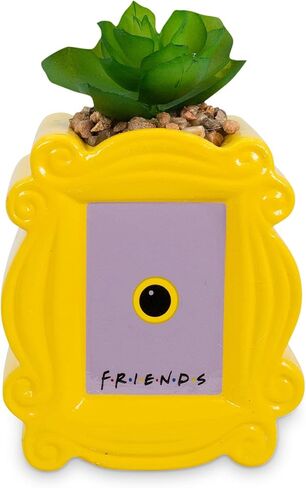 BoxLunch Friends Peephole Frame Faux Succulent Planter in Saudi Arabia