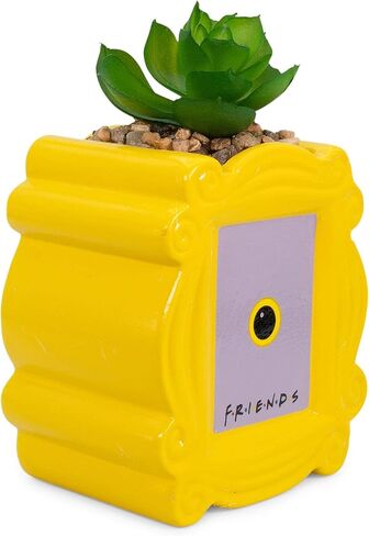 BoxLunch Friends Peephole Frame Faux Succulent Planter in Saudi Arabia