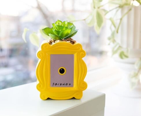 BoxLunch Friends Peephole Frame Faux Succulent Planter in Saudi Arabia