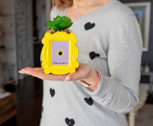 BoxLunch Friends Peephole Frame Faux Succulent Planter in Saudi Arabia