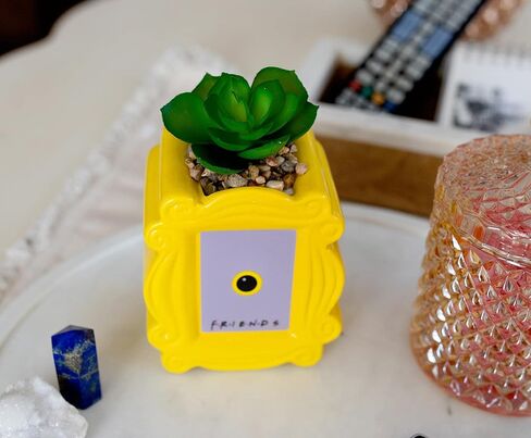 BoxLunch Friends Peephole Frame Faux Succulent Planter in Saudi Arabia