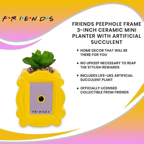 BoxLunch Friends Peephole Frame Faux Succulent Planter in Saudi Arabia