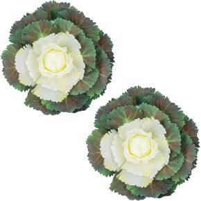 2 Pack Faux Ornamental Cabbage, UV Resistant Fake Vegetables,Outdoor Decor Accessories for Porch Garden Patio Yard, Perfect Companion for Outside Artificial Flowers and Greenery in Planters in Saudi Arabia