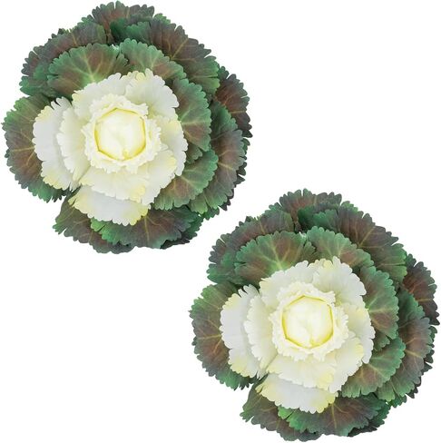 2 Pack Faux Ornamental Cabbage, UV Resistant Fake Vegetables,Outdoor Decor Accessories for Porch Garden Patio Yard, Perfect Companion for Outside Artificial Flowers and Greenery in Planters in Saudi Arabia