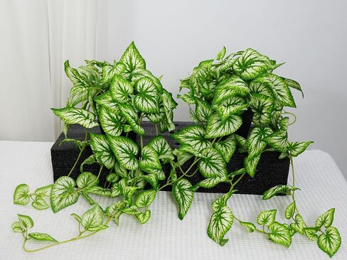 2 Fake Pothos Hanging Plants Artificial Pothos Plant with Pots Faux Hanging Plants Office Decor Low Maintenance Fake Vines Artificial Greenery for Indoor - Green & Yellow in Saudi Arabia