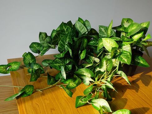 2 Fake Pothos Hanging Plants Artificial Pothos Plant with Pots Faux Hanging Plants Office Decor Low Maintenance Fake Vines Artificial Greenery for Indoor - Green & Yellow in Kuwait