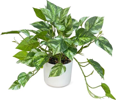 Artificial Plants Faux Pothos with Plastic White Pot Artificial Potted Plant for Home Office Bedroom Indoor Outdoor Decor 1 Pack(Light Green) in Saudi Arabia