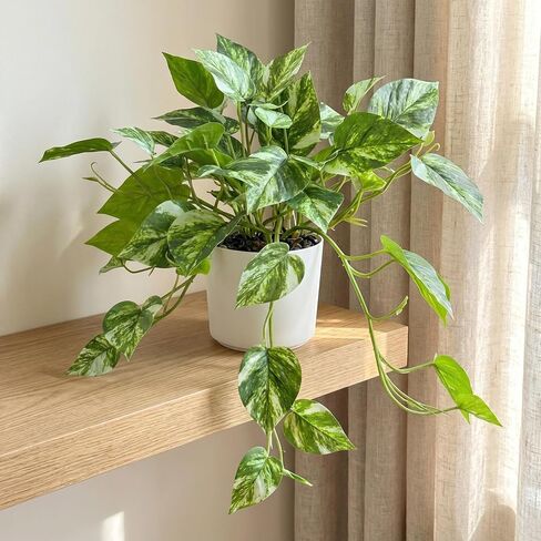 Artificial Plants Faux Pothos with Plastic White Pot Artificial Potted Plant for Home Office Bedroom Indoor Outdoor Decor 1 Pack(Light Green) in Saudi Arabia