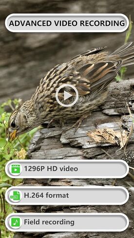 GardePro E8P Trail Camera WiFi Bluetooth, Game Cameras with 8000mAh Rechargeable Battery Pack, 100ft Night Vision Motion Activated in Kuwait