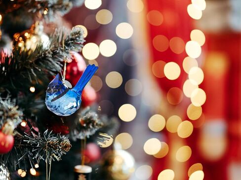 Birdwatcher Gift, Stunning Blue Jay Sparkling Suncatcher, Acrylic Ornament - A Perfect Bird Gift with 2026 Charm & Suction Cup - Stunning Acrylic Bird Suncatcher, Blue Jay Car Charm in Saudi Arabia