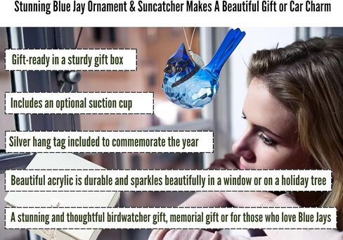 Birdwatcher Gift, Stunning Blue Jay Sparkling Suncatcher, Acrylic Ornament - A Perfect Bird Gift with 2026 Charm & Suction Cup - Stunning Acrylic Bird Suncatcher, Blue Jay Car Charm in Saudi Arabia