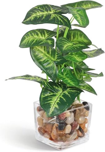 Artificial Plants in Clear Pot with Pebbles, Tropical Plants Potted Small Faux Plant Indoor Decor for Home Kitchen Bathroom Office Table Shelf in Kuwait