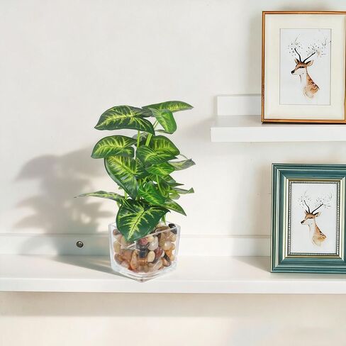 Artificial Plants in Clear Pot with Pebbles, Tropical Plants Potted Small Faux Plant Indoor Decor for Home Kitchen Bathroom Office Table Shelf in Kuwait