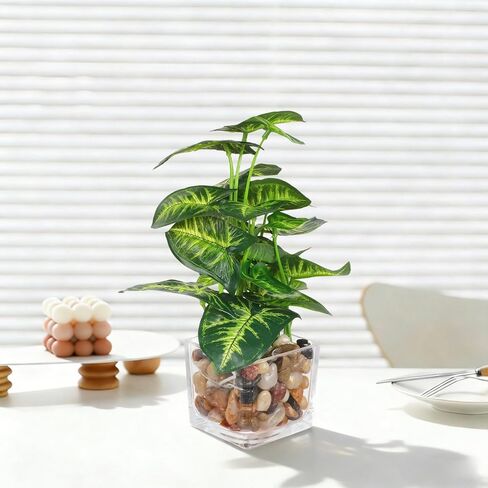 Artificial Plants in Clear Pot with Pebbles, Tropical Plants Potted Small Faux Plant Indoor Decor for Home Kitchen Bathroom Office Table Shelf in Kuwait