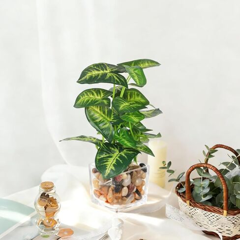 Artificial Plants in Clear Pot with Pebbles, Tropical Plants Potted Small Faux Plant Indoor Decor for Home Kitchen Bathroom Office Table Shelf in Kuwait