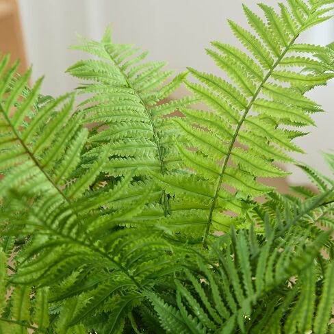 30" Fake Ferns Plants with 24 Fronds Faux Boston Fern Realistic Artificial Greenery Stems for Vase Home Decor Indoor 2Pcs in Saudi Arabia