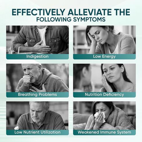 The Standard Lab NAC 600mg & NAD Daily Complex، مكمل NAC العضوي، كبسولات N-Acetyl Cysteine ​​مع NAD+ للصحة الخلوية والرئة، ومستويات مضادات الأكسدة ودعم المناعة، غير معدل وراثيًا، 300 كبسولة هلامية in Kuwait