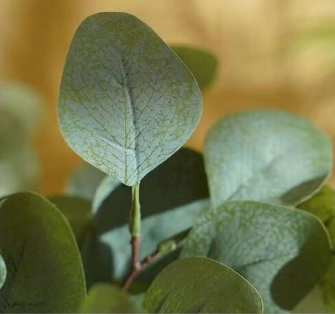 10PCS Bulk Artificial Eucalyptus Stems - Lifelike Greenery for Centerpieces, Wedding Bouquets and Vase Arrangements | Faux Silver Dollar and Oval Leaves with Seeds (Round Leaf) in Kuwait