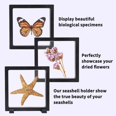 6 PCS 3D Floating Display Case with stand, Seashell Holder Frame Coins Floating Display Stand Transparent Jewelry Storage Box for Dollar Bill Fossils Stamps Bracelet (5.5x 5.5 x 0.8 Inch) in Saudi Arabia