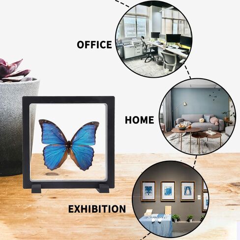 6 PCS 3D Floating Display Case with stand, Seashell Holder Frame Coins Floating Display Stand Transparent Jewelry Storage Box for Dollar Bill Fossils Stamps Bracelet (5.5x 5.5 x 0.8 Inch) in Saudi Arabia