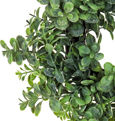 National Tree Company Artificial Wreath Decoration, Green, Fern Branch Base, Decorated with Long Leafy Stems, Spring Collection, 16 Inches in Kuwait