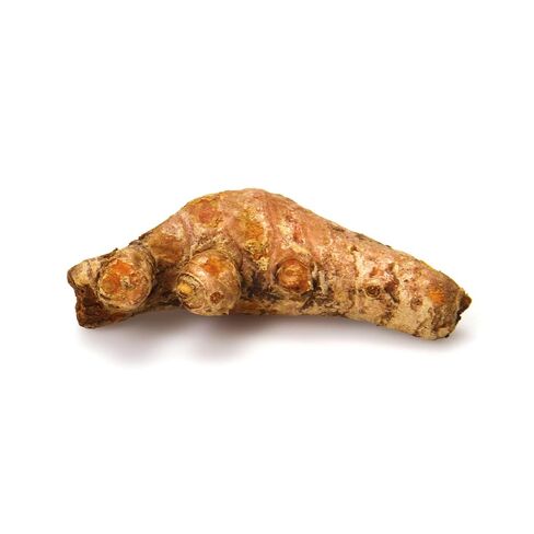 Organic Turmeric Root in Saudi Arabia