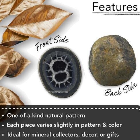 Amazing Gemstone Septarian Nodule Crystals and Healing Stones Mineral Specimen - Premium Semi Precious Gem Stones for Spiritual Growth - Healing Crystals Geode Clusters for Meditation in Kuwait