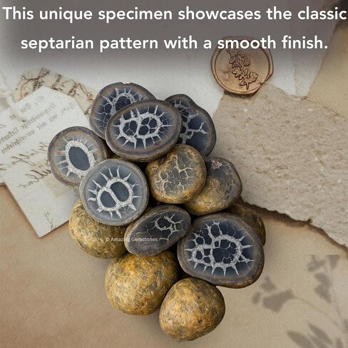Amazing Gemstone Septarian Nodule Crystals and Healing Stones Mineral Specimen - Premium Semi Precious Gem Stones for Spiritual Growth - Healing Crystals Geode Clusters for Meditation in Kuwait