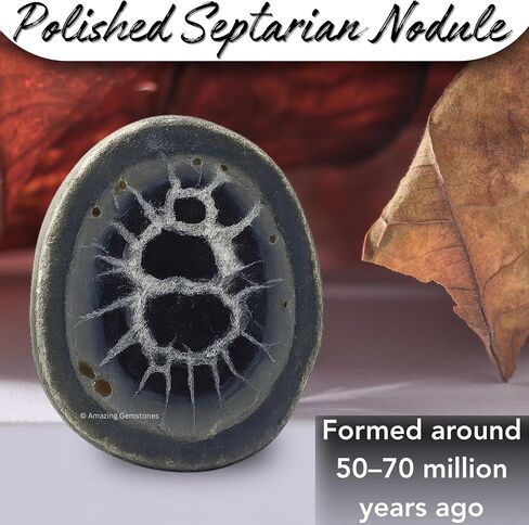 Amazing Gemstone Septarian Nodule Crystals and Healing Stones Mineral Specimen - Premium Semi Precious Gem Stones for Spiritual Growth - Healing Crystals Geode Clusters for Meditation in Kuwait