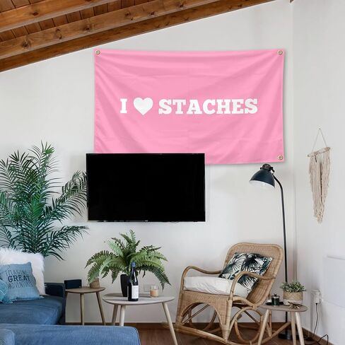 نسيج I Heart Staches مقاس 3 × 5 أقدام نسيج داخلي وخارجي مع حلقات نحاسية لغرفة الأولاد والبنات، مسكن جامعي، غرف نوم، غرف معيشة، ديكور للحفلات in Kuwait