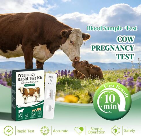 مجموعة أدوات اختبار حمل البقر (اختباران) - نتائج سريعة خلال 5-20 دقيقة - تعمل مع الدم الكامل أو المصل أو البلازما - لماشية الألبان ولحم البقر in Kuwait