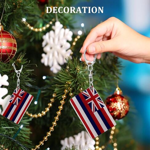 Hawaii Flag Keychain - Double Sided Acrylic D Shape Chains Hawaiian Flags Key Chains Men and Women Style Car Key chain Gifts Decoration (3 Pcs) in Saudi Arabia